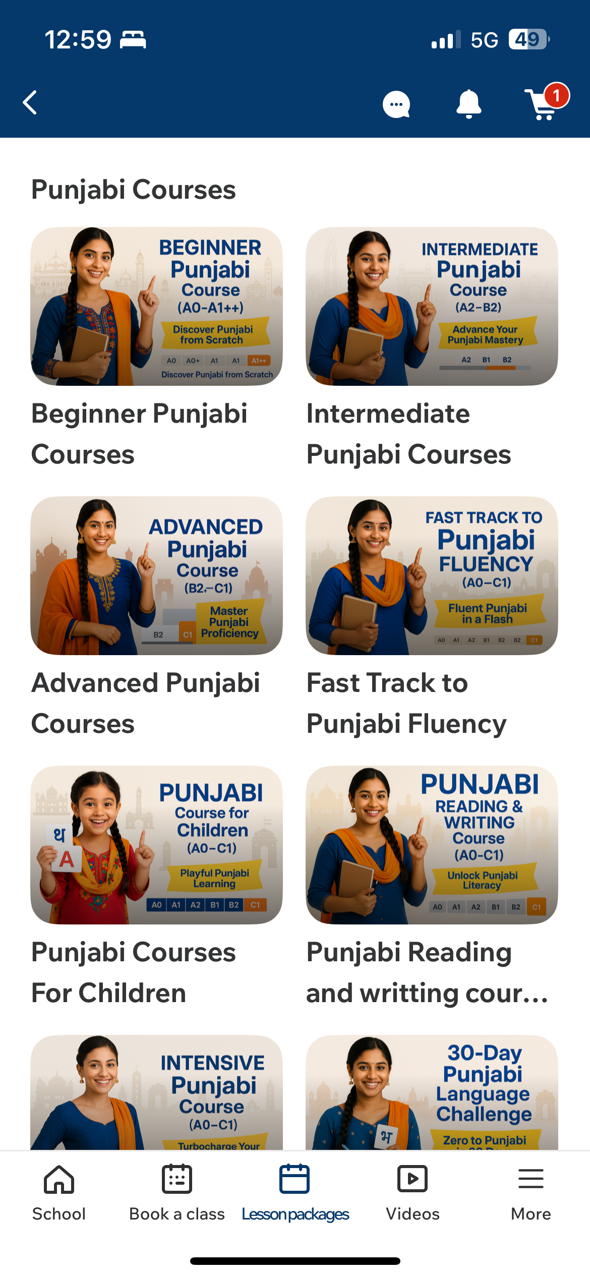 Punjabi Language Courses