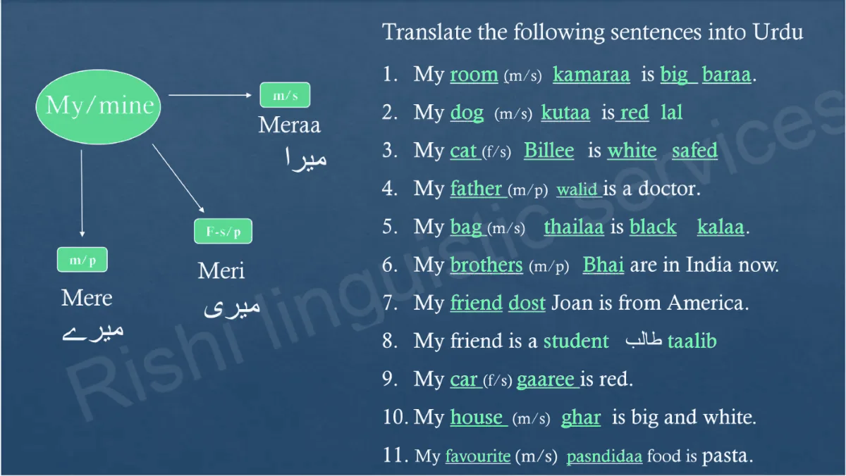Original Indian Lingua visual Urdu sentence practice lesson
